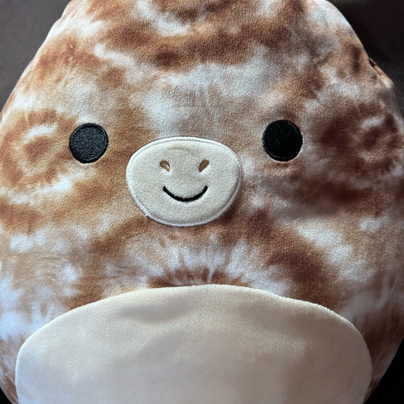 Squishmallow Edmund the Prerodactyl 16 inches. Pre-loved - Picture 2 of 10